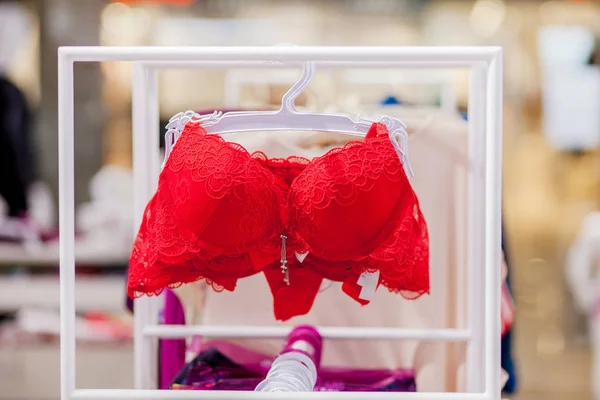 Varedad de sujetador colgando en la tienda de ropa interior de lencería. Anunciar, S — Foto de Stock