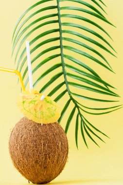 Sarı arka planda bir pipet ile taze Hindistan cevizi kokteyli