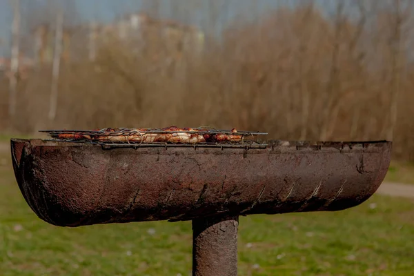 Meat grilled on the barbecue grill. Dinner picnic party concept. Grilled food background. Shallow focus. Copy space. Top view — Stock Photo, Image