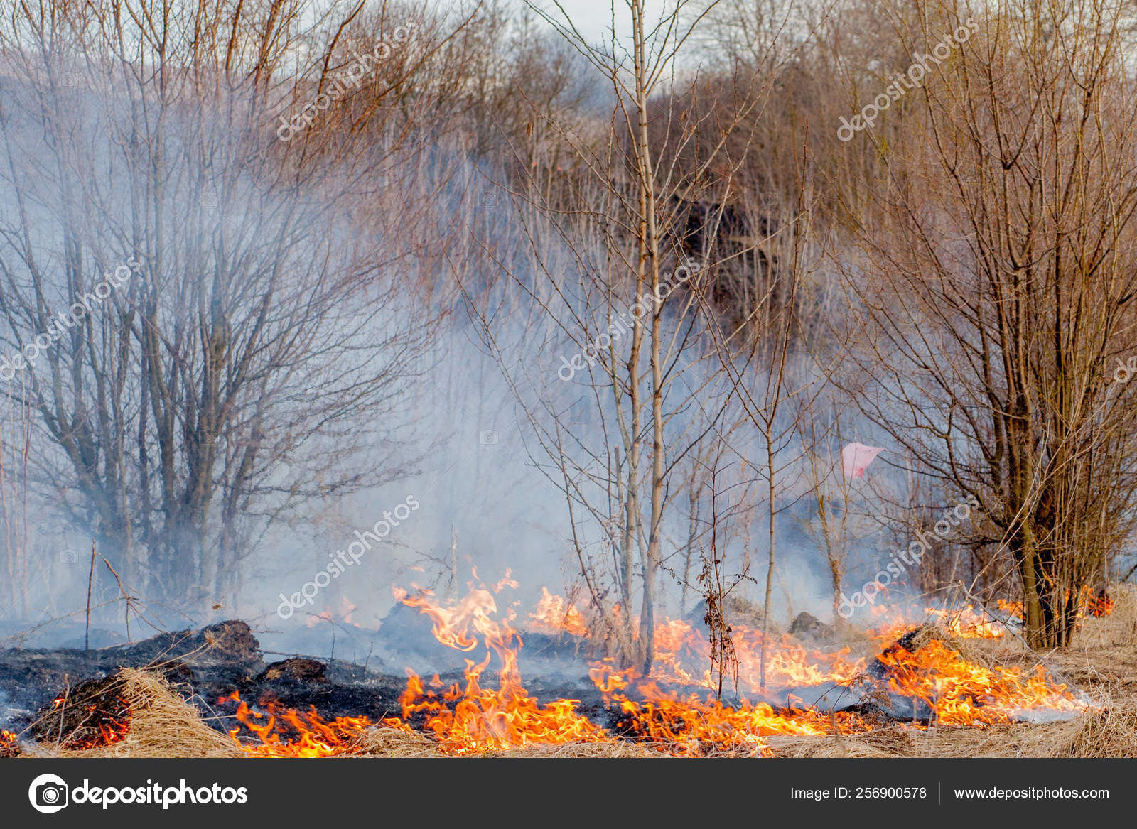 A strong fire spreads in gusts of wind through dry grass, smoking dry