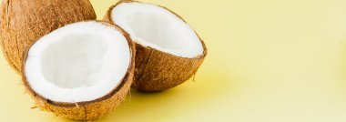 sarı bir arka plan üzerinde izole taze Hindistan cevizi parçaları yakın, tropikal meyve kavramı, düz yatıyordu, pop art, kopya alanı