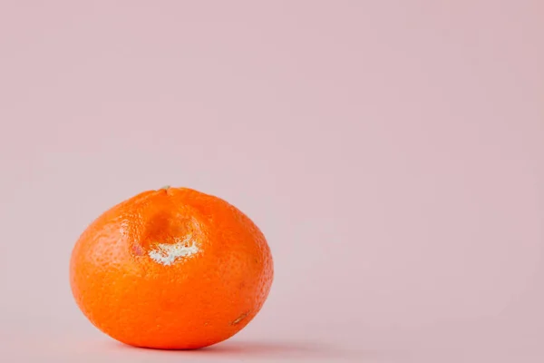 Arance ammuffite marce, mandarini su sfondo rosa. Una foto dello stampo in crescita. Contaminazione alimentare, brutta frutta marcia disgustosa viziata. Concetto di messetica, avanzi di cibo — Foto Stock