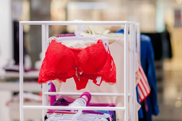 Varedad de sujetador colgando en la tienda de ropa interior de lencería. Anunciar, Venta, Concepto de moda — Foto de Stock