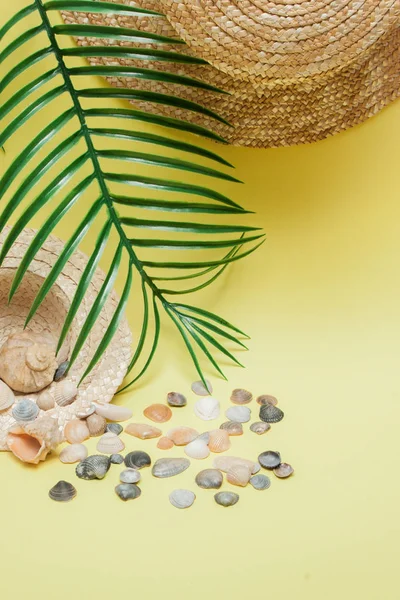 Fondo de vacaciones de verano. Concepto de verano tropical con accesorios de moda para mujer, hojas y conchas marinas sobre fondo amarillo. Piso tendido, vista superior — Foto de Stock