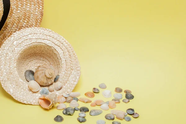 Sommerurlaub. tropisches Sommerkonzept mit Accessoires für Damenmode, Blättern und Muscheln auf gelbem Hintergrund. flache Lage, Draufsicht — Stockfoto