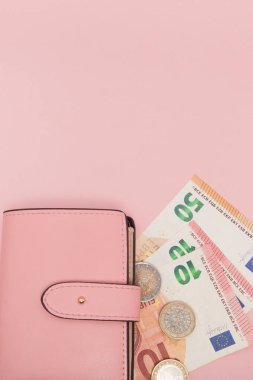 Canlı Mavi Arka Plan üzerinde Euro Para Birimi ile Cüzdan. Iş