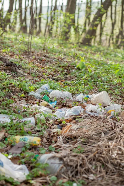 Πλαστικά σκουπίδια στο δάσος. Μπαίνει η φύση. Πλαστικό δοχείο ξαπλωμένο στο γρασίδι — Φωτογραφία Αρχείου