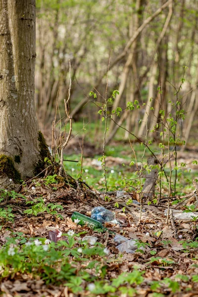 Plastik çöp ormanın içinde. Kandırıldık doğa. Plastik konteyner çim yalan — Stok fotoğraf