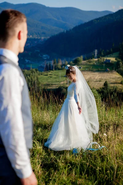 Newlyweds smile and hug each other among the meadow on top of the mountain. Wedding walk in the woods in the mountains, the gentle emotions of the couple, photo for Valentine\'s Day