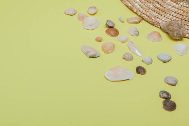 Yaz tatil arka plan. Tropikal yaz konsepti ile kadın moda aksesuarları, yaprakları ve sarı zemin üzerine deniz kabuklarını. Düz yatıyordu, en iyi görünümü