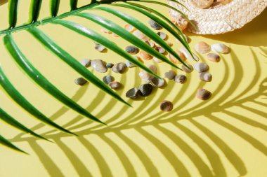 Yaz tatil arka plan. Tropikal yaz konsepti ile kadın moda aksesuarları, yaprakları ve sarı zemin üzerine deniz kabuklarını. Düz yatıyordu, en iyi görünümü