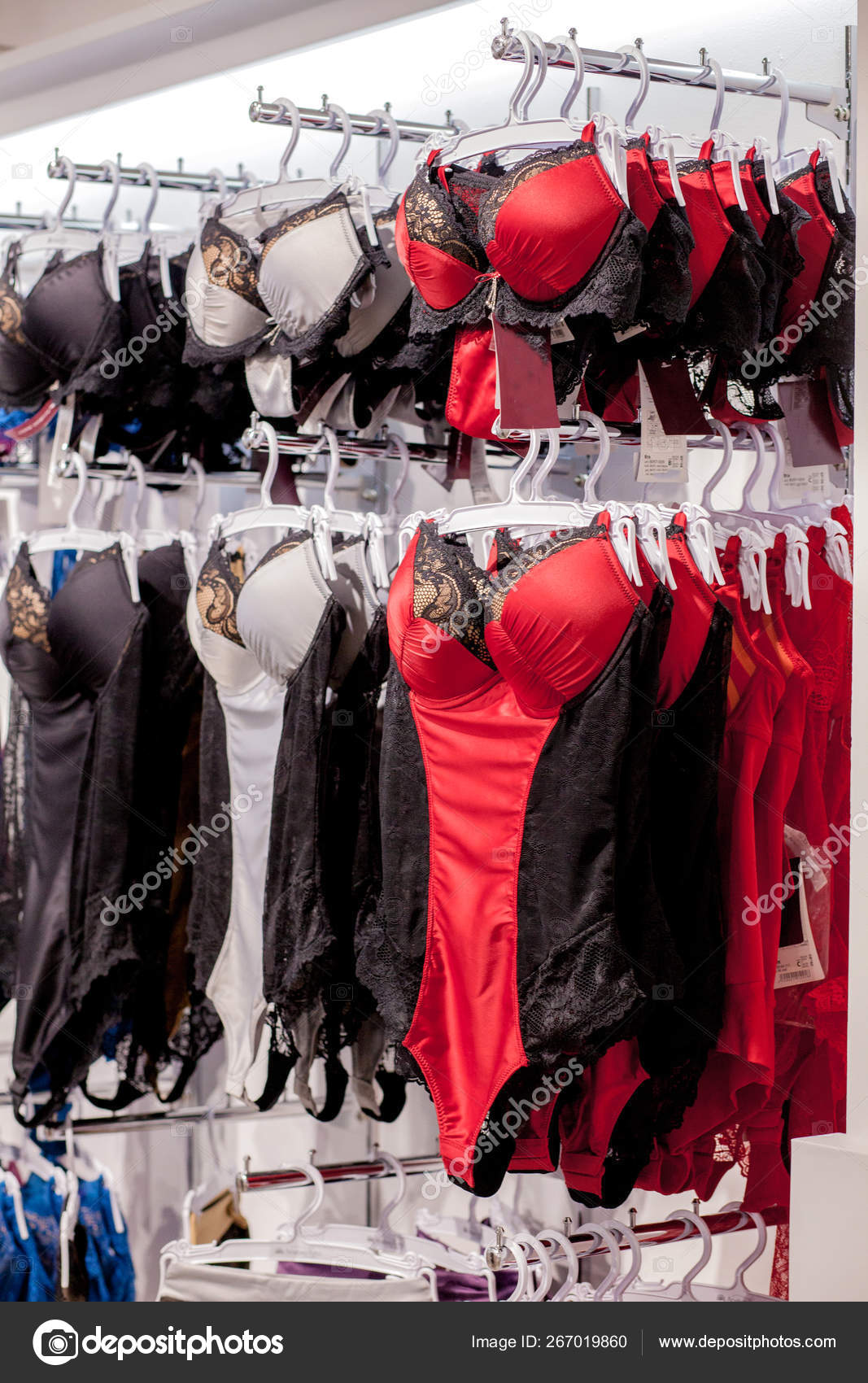 Underwear Corset at the shop window. Underwear in shop display d Stock  Photo by ©volody100@ukr.net 267019860