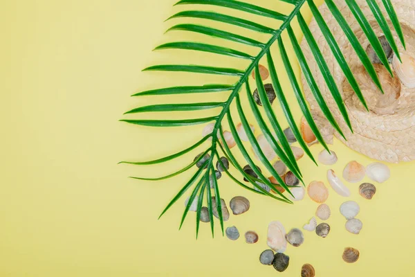 Sommerurlaub. tropisches Sommerkonzept mit Accessoires für Damenmode, Blättern und Muscheln auf gelbem Hintergrund. flache Lage, Draufsicht — Stockfoto