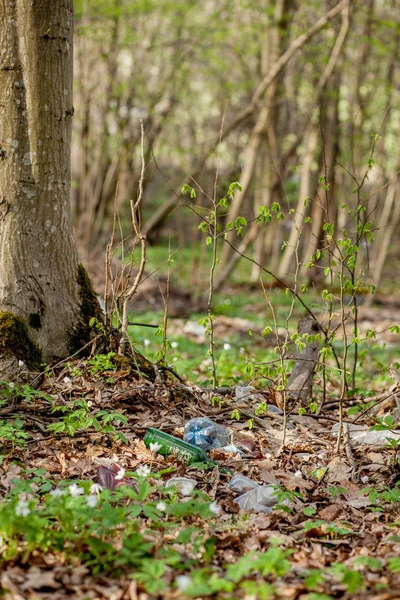 Plastik çöp ormanın içinde. Kandırıldık doğa. Plastik konteyner çim yalan — Stok fotoğraf