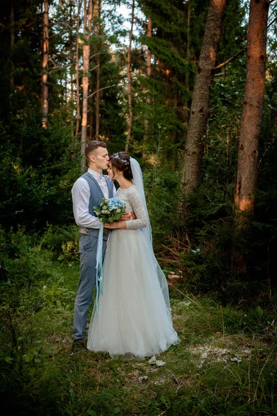 美丽的新婚夫妇走在森林里。度蜜月的人新娘和新郎手牵手在松树林, 情人节的照片 — 图库照片