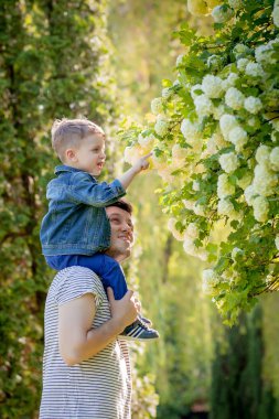 Genç babası ve gülümseyen oğlu parkta kucaklaşıp birlikte vakit geçiriyorlar. Babalar günü kutlaması.