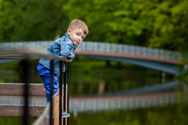 小さな男の子が公園で橋の手すりを登る。溺れる恐れがある。子供への危険 — ストック写真