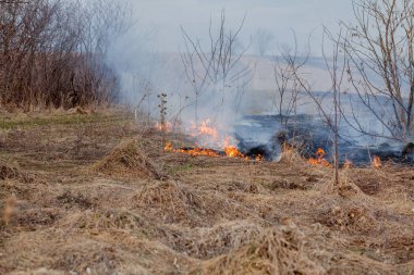 Güçlü bir yangın, Kuru Çim, smokin yoluyla rüzgar rüzgarları yayılır