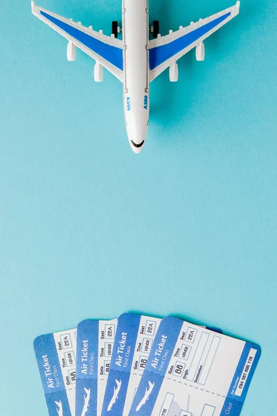 Pas, letadlo a letenku na modrém pozadí. Cestování c — Stock fotografie