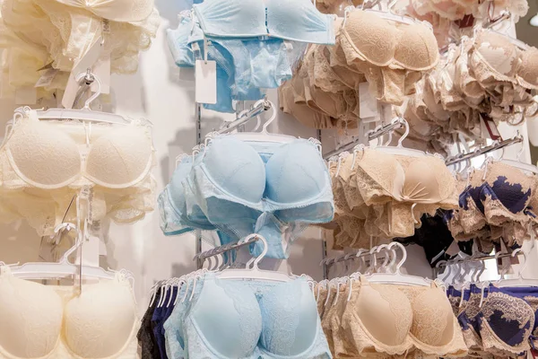 Women's bras for sale in market. selective focus on the bra hanging on the  hanger 18740337 Stock Photo at Vecteezy