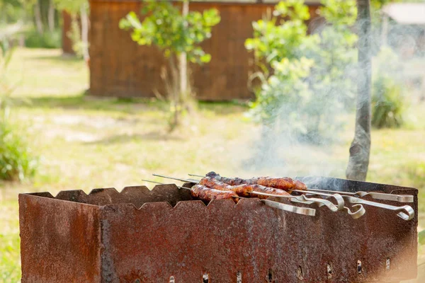 Salsiccia alla griglia sulla griglia fiammeggiante picnic — Foto Stock