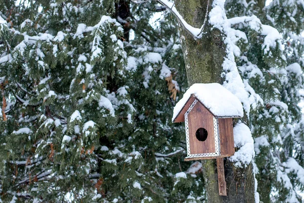Kuş besleme yuvasına kış park. Kuş evi açık havada ağaç üzerinde kışın asılı karla kaplı — Stok fotoğraf