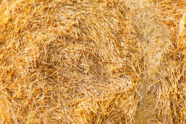 sıcak bir yaz gününde sarı saman doku çekim