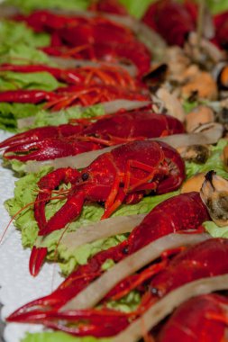 Snack masada bira için meze olarak kerevit ve midye