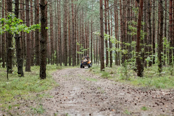 Az ember lovaglás egy sárga quad ATV minden terepjáróval a homokos erdőben. Extrém sport mozgás, kaland, turistalátványosság. — Stock Fotó