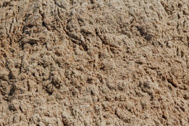 Yaz güneşinde güzel kumsal