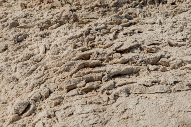 Yaz güneşinde güzel kumsal