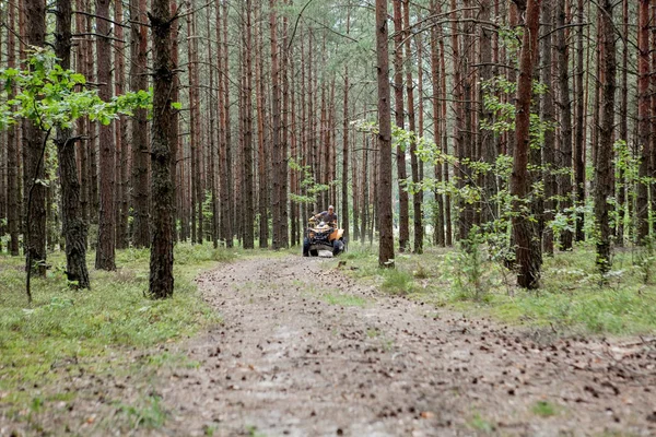 Hombre montando un quad amarillo todo terreno vehículo todo terreno en un bosque de arena. Movimiento deportivo extremo, aventura, atracción turística . —  Fotos de Stock