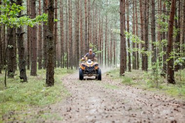 Sarı dörtlü Atv'ye binen adam kumlu bir ormanda tüm arazi aracına biniyor. Ekstrem spor hareketi, macera, turistik.