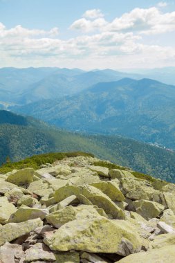 Orman ve bulutlu gökyüzü ile kaplı dağ zirveleri ile güzel dağ manzara. Ukrayna dağları, Avrupa
