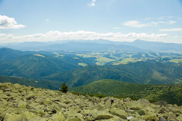 Горный ландшафт, покрытый горными персиками. — стоковое фото