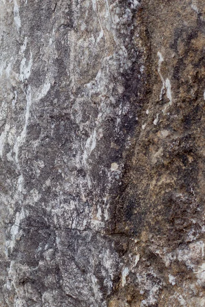 Gri bej taş doku. Rock. Taş arka plan. Kabartma yüzeyi