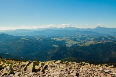 Orman ve bulutlu gökyüzü ile kaplı dağ zirveleri ile güzel dağ manzara. Ukrayna dağları, Avrupa