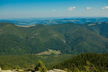 Orman ve bulutlu gökyüzü ile kaplı dağ zirveleri ile güzel dağ manzara. Ukrayna dağları, Avrupa