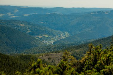 Orman ve bulutlu gökyüzü ile kaplı dağ zirveleri ile güzel dağ manzara. Ukrayna dağları, Avrupa