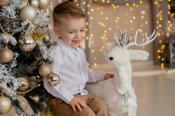 Pouco 2 anos abraços menino elegante de madeira decoração de veados de Natal perto de galho fosco pendurado árvore de Natal bela alternativa à versão tradicional decoração do Ano Novo escandinavo — Fotografia de Stock