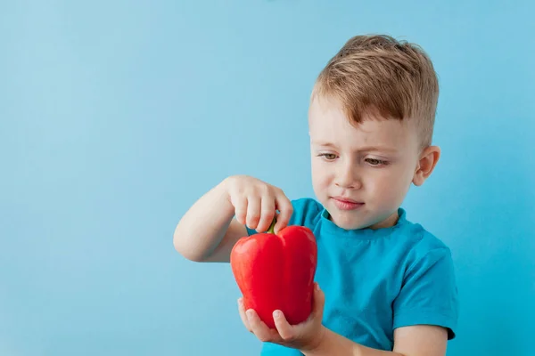Niño pequeño sosteniendo pimienta en sus manos sobre fondo azul. Vegano — Foto de Stock