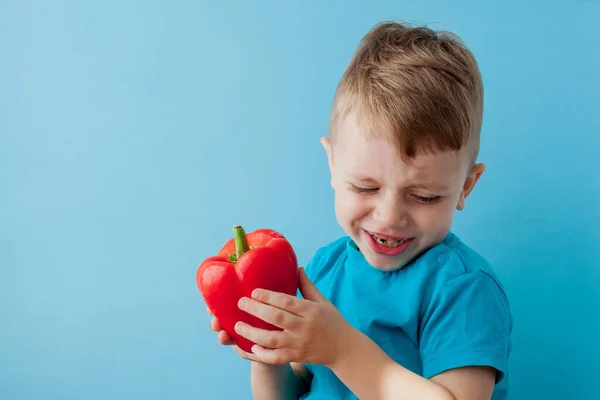 Criança segurando pimenta em suas mãos no fundo azul. Vegan. — Fotografia de Stock