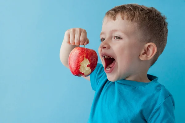 Bebê criança segurando e comendo maçã vermelha no fundo azul, comida — Fotografia de Stock