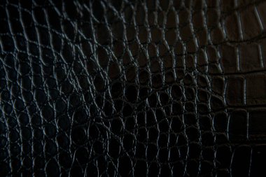 siyah timsah deri dokulu ve arka planı için