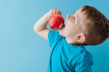 Bebek kucağında kırmızı elma, mavi arka plan, yemek, diyet ve sağlıklı beslenme konsepti