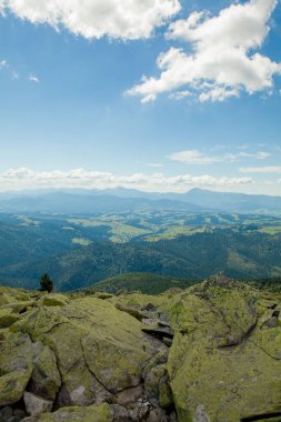Orman ve bulutlu gökyüzü ile kaplı dağ zirveleri ile güzel dağ manzara. Ukrayna dağları, Avrupa