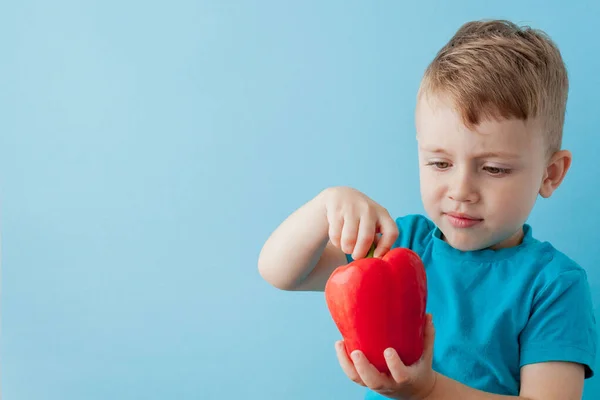 Niño pequeño sosteniendo pimienta en sus manos sobre fondo azul. Vegano — Foto de Stock