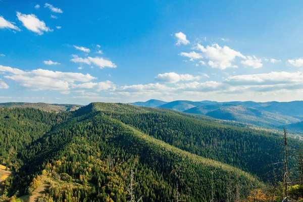 森と曇り空に覆われた山の頂上、美しい山の風景。ウクライナ山脈, ヨーロッパ — ストック写真