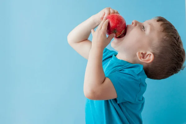 小孩抱着和吃蓝色背景的红苹果，食物 — 图库照片