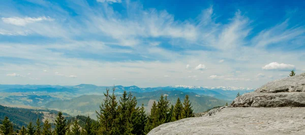 Magnifica Vista Panoramica Foresta Conifere Sulle Possenti Montagne Dei Carpazi — Foto Stock